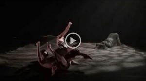 SequencePromotionnelle